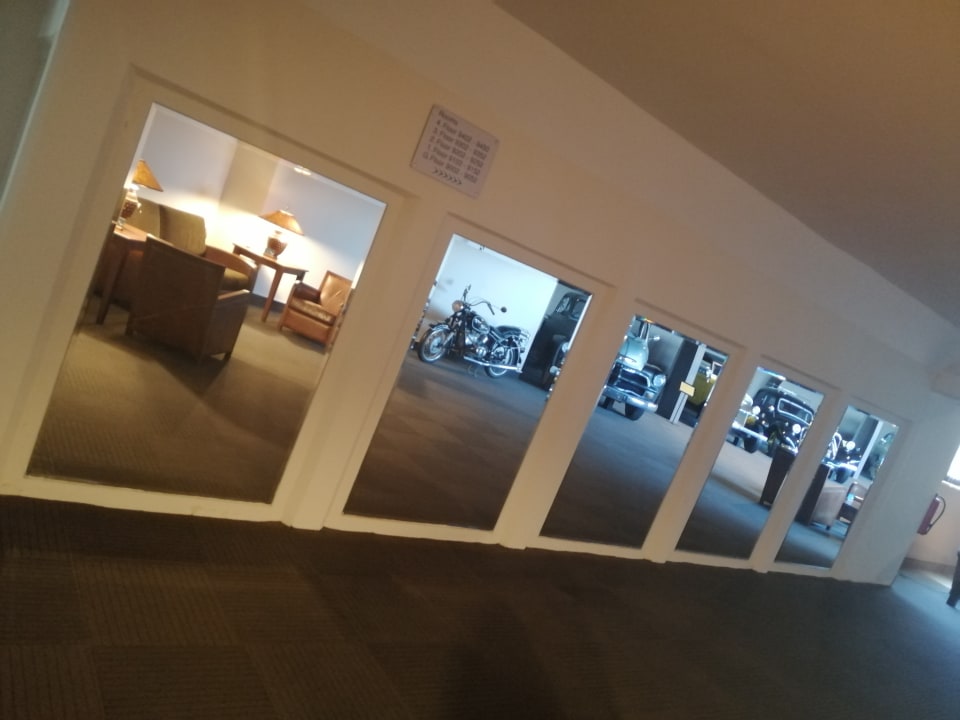 Sonstiges PALOMA Perissia