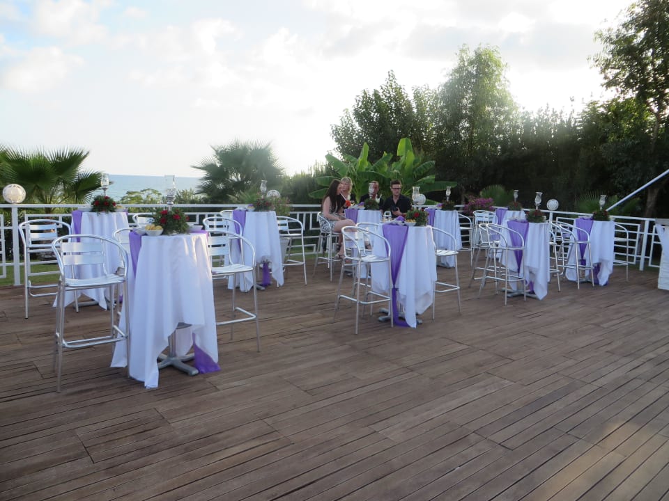White & Purble Bar  Hotel Turan Prince