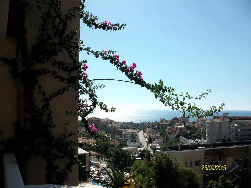 Blick vom Balkon  Hotel Club Paradiso