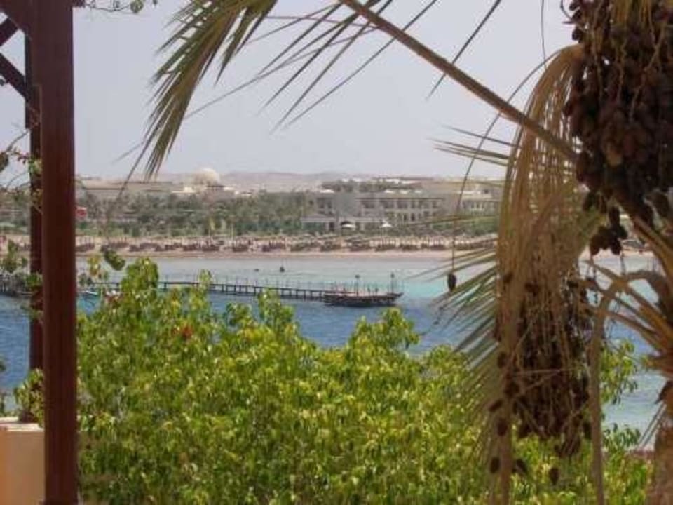 Aussicht vom der Terrasse II Steigenberger Coraya Beach - Adults only