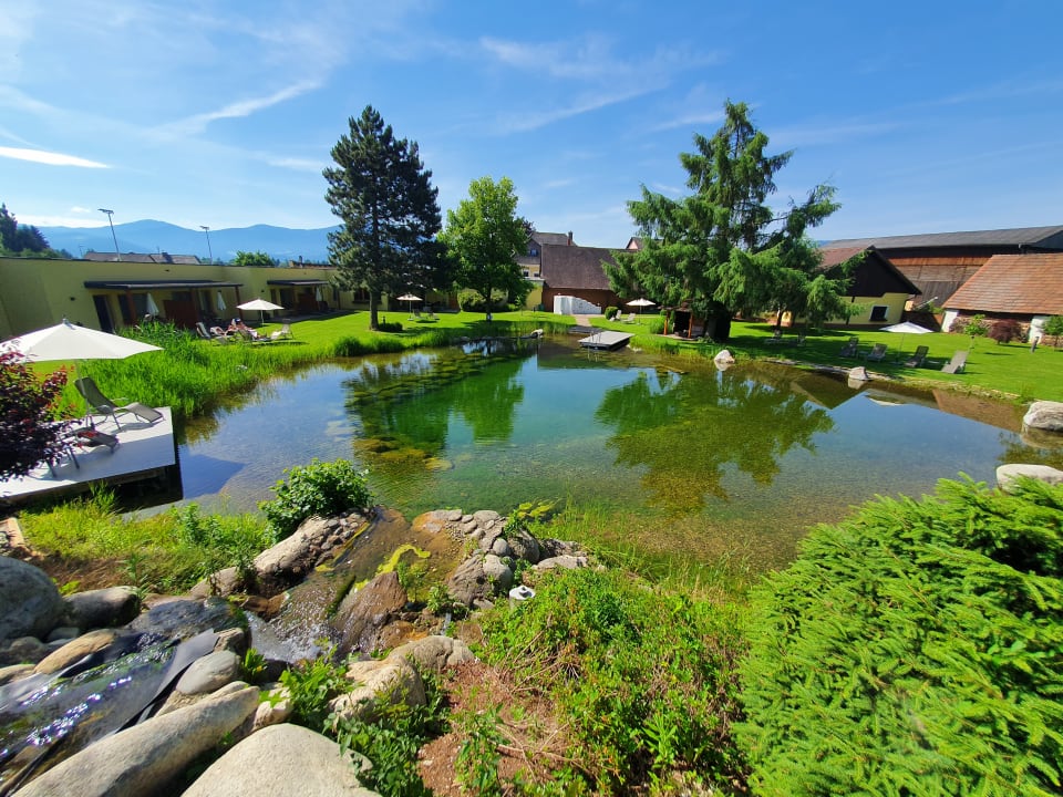 Pool Landhaus Wilhelmer