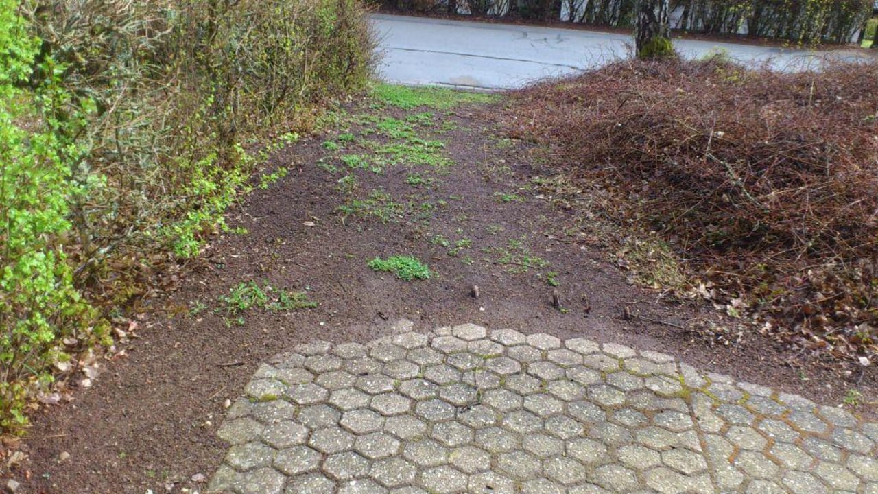 Wanderweg zu den Anwendungen  Sporthotel Grafenwald