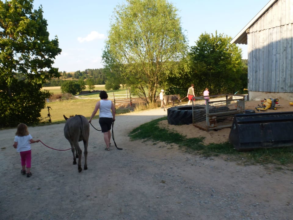 Esal-Wanderung Ferienhof Neudeck
