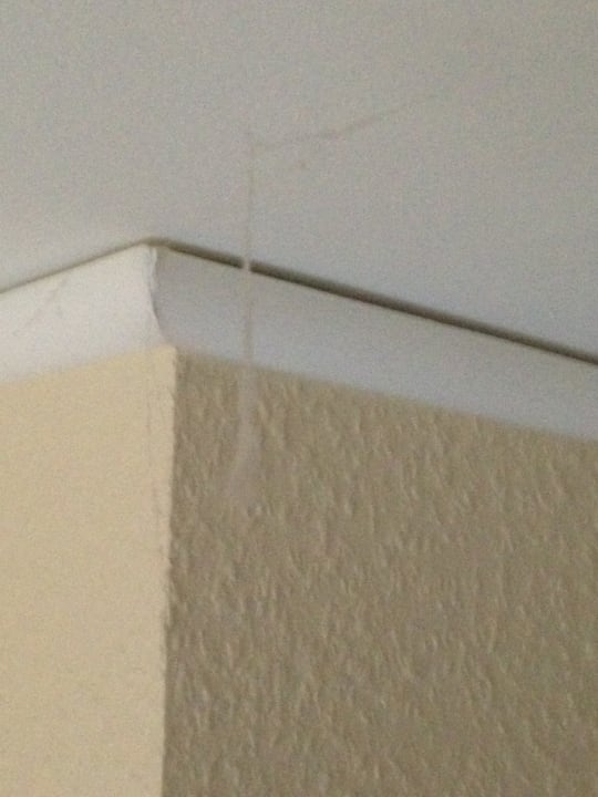 Zimmer Center Parcs Park Bostalsee