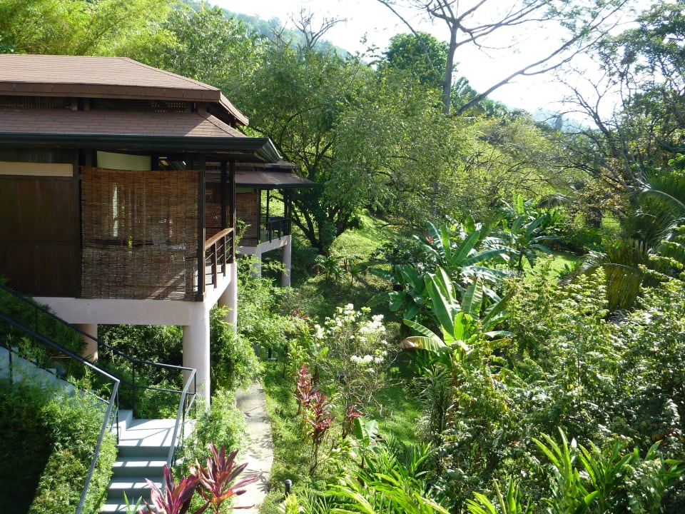 Die Bungalows TikiVillas Rainfores Lodge