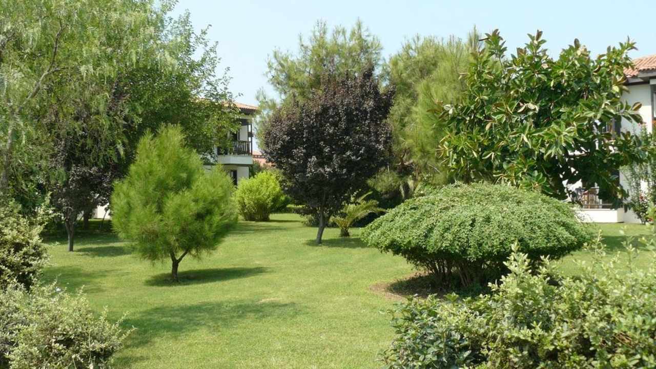 Bungalowbereich Hotel Club Nena