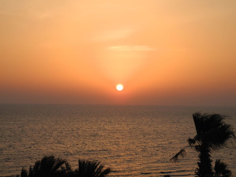 Sonnenaufgang vom Zimmer Pickalbatros Citadel Resort