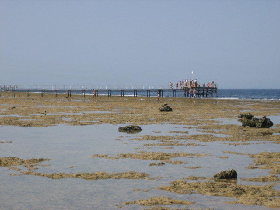 Steg bei Ebbe Charmillion Club Resort
