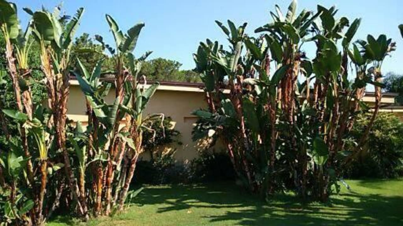 Teren hotelu Falkensteiner Club Funimation Garden Calabria