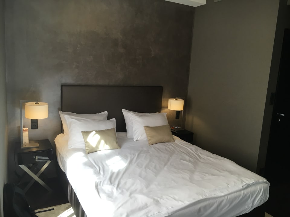 Zimmer Medusa Gdańsk