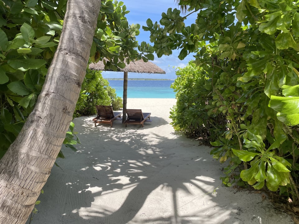 Strand Reethi Faru Resort