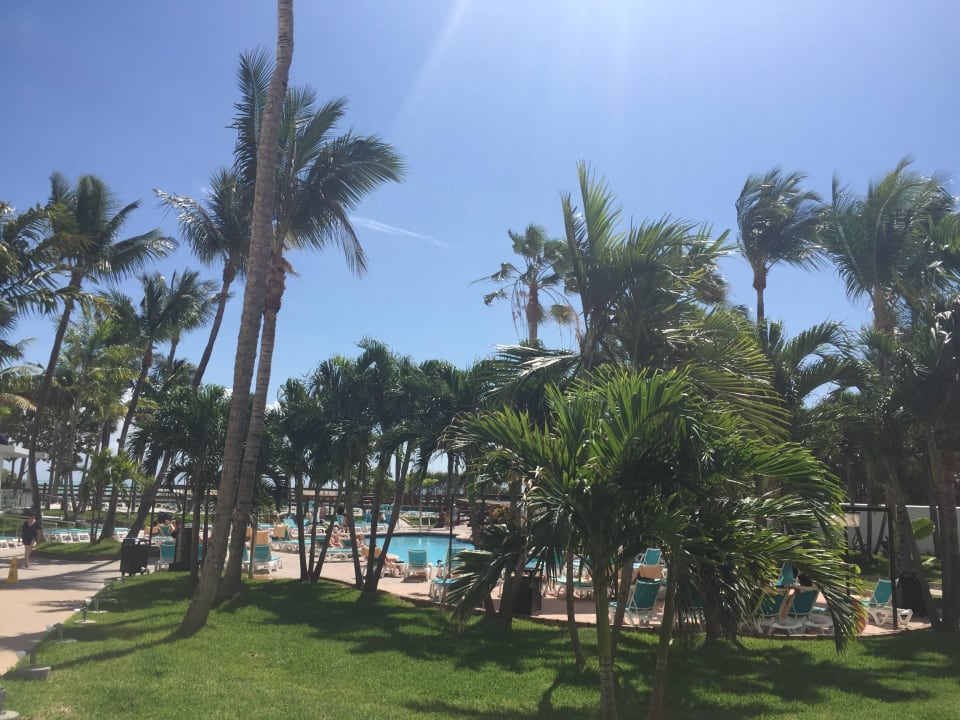 Garten/Poollandschaft Hotel Riu Plaza Miami Beach