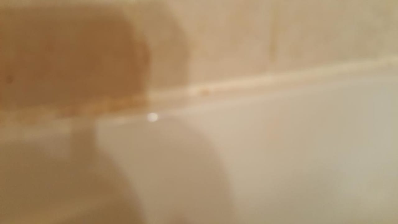 Zimmer Ghazala Gardens