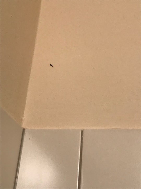 Zimmer JUFA Hotel Kaprun