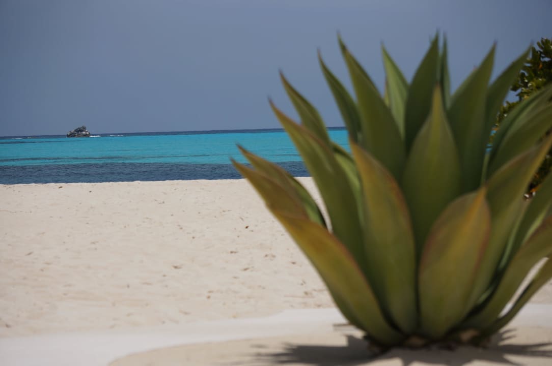 Blau, blauer, Bahamas Guanahani Beach Club