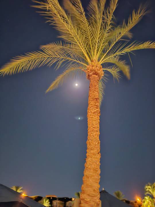 Ausblick Desert Rose