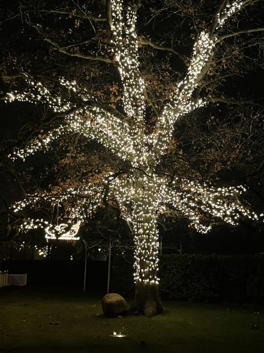 Außenansicht A-ROSA Travemünde