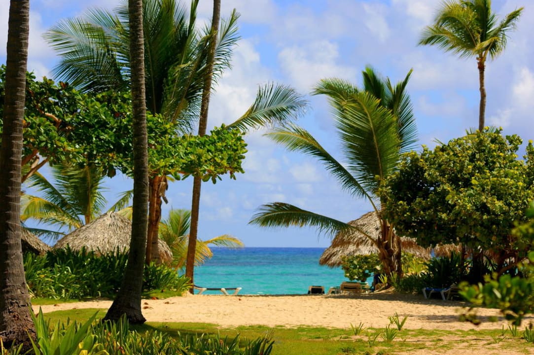 Wejście na plażę Grand Palladium Select Bávaro Resort & Spa