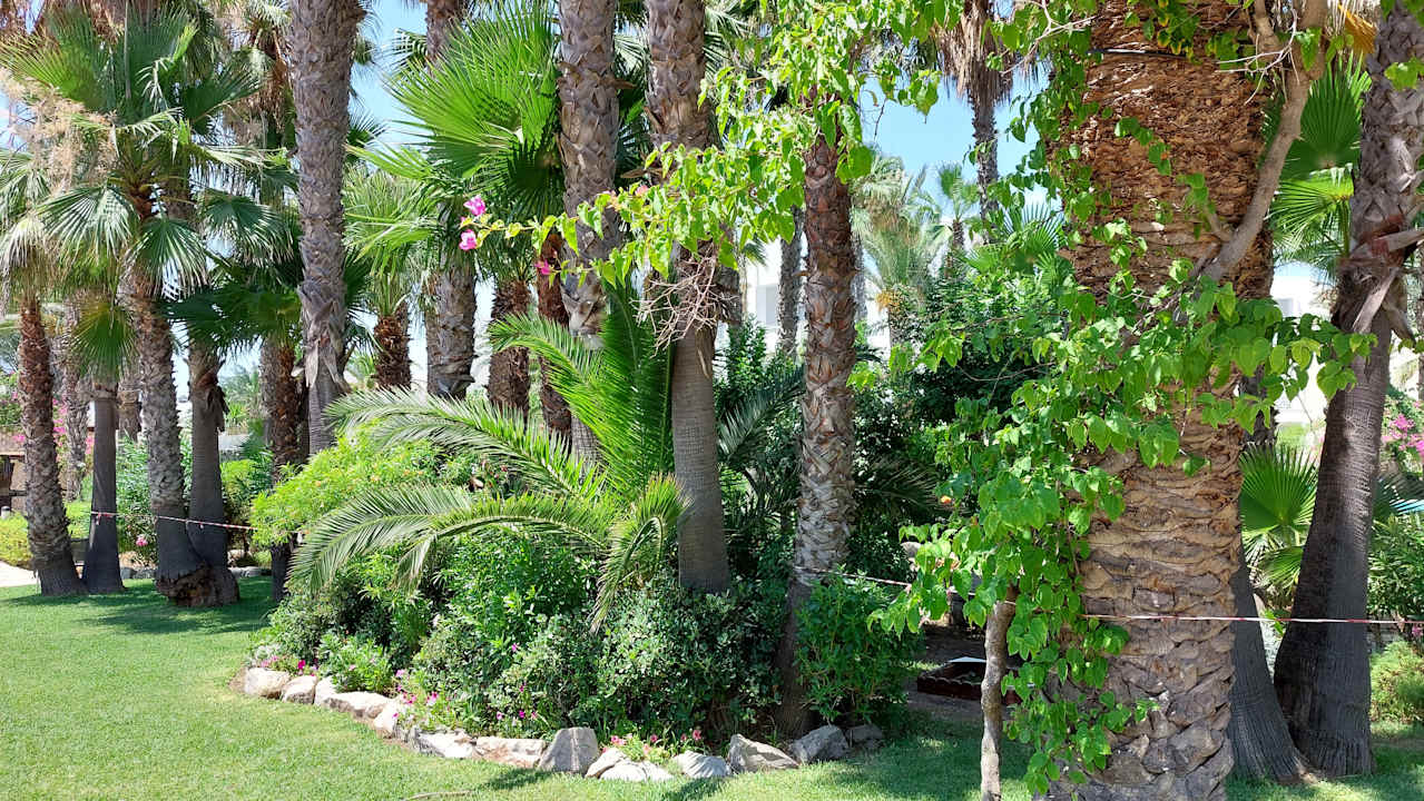 Gartenanlage TUI MAGIC LIFE Africana