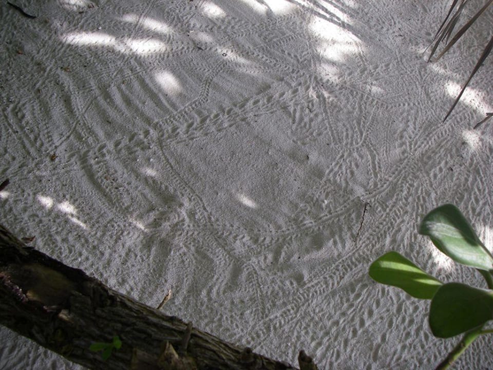 Spuren im Sand Summer Island Maldives