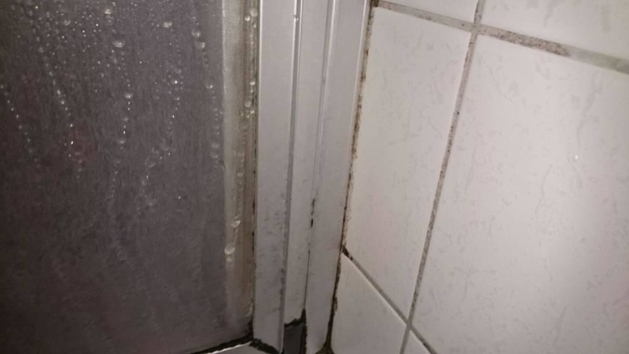 Dusche die 2. Hotel Ellenzer Goldbäumchen