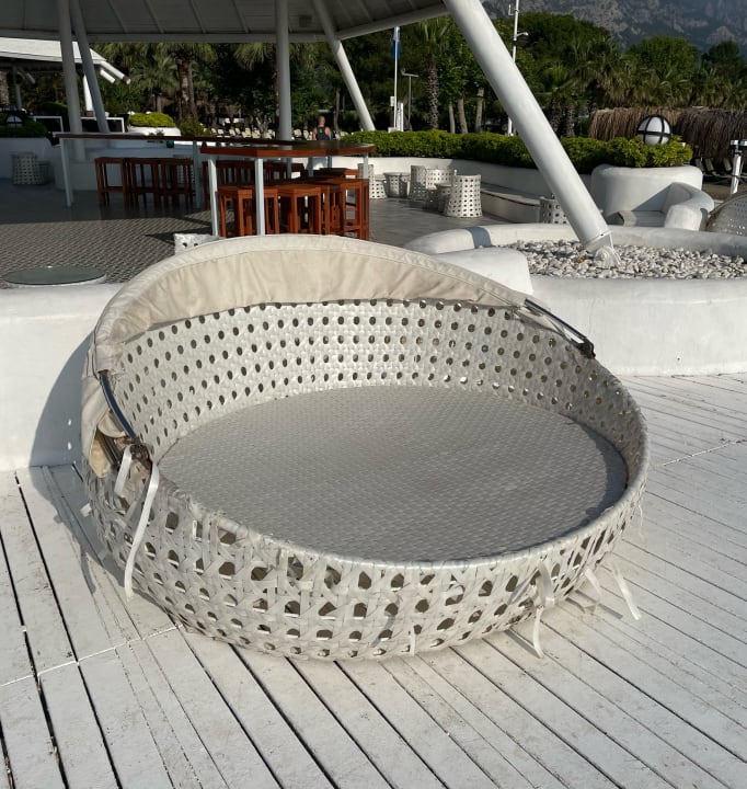 Gastro Balmy Foresta