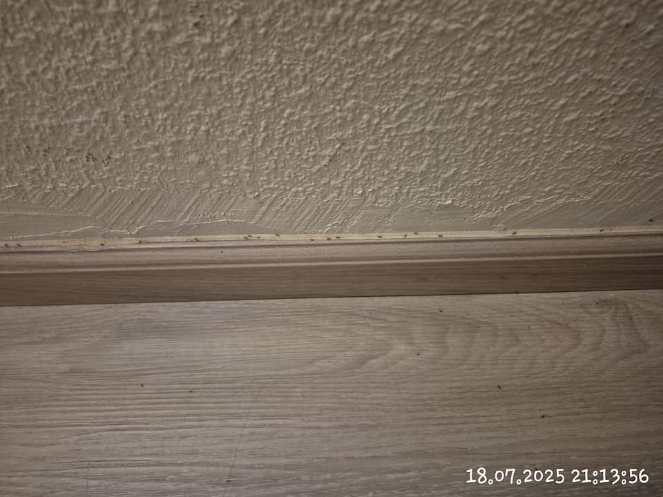 Zimmer SBH Hotel Taro Beach