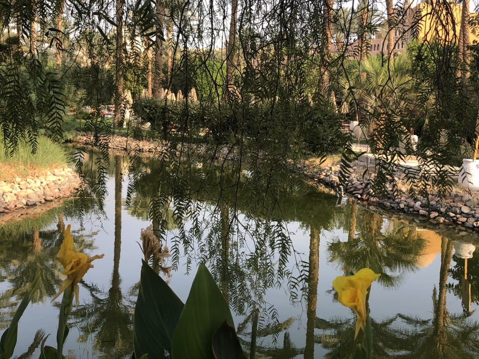 Gartenanlage Makadi Palace