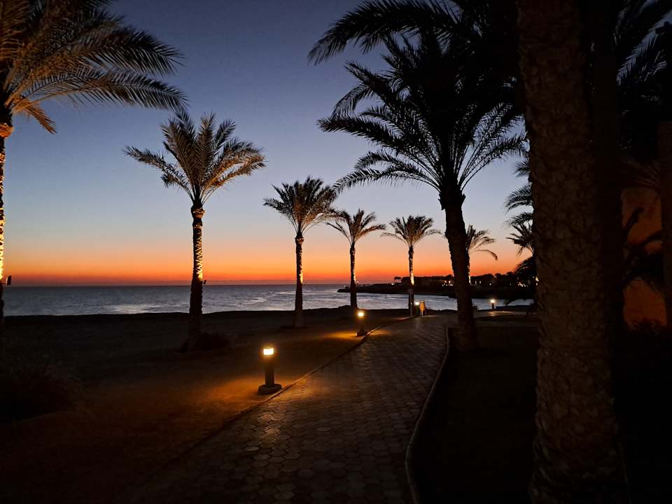 Ausblick Steigenberger Coraya Beach - Adults only