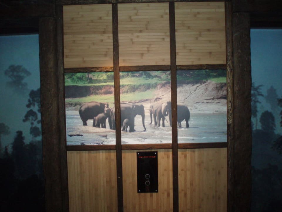 Aufzug im Afrika-Bereich Park-Hotel Hagenbeck