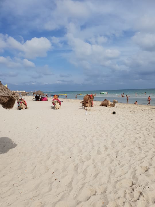 Strand Djerba Sun Beach Hotel & Spa
