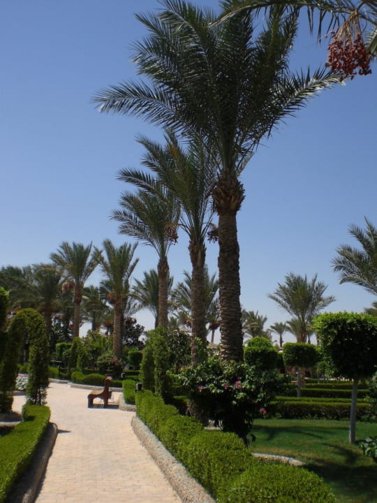 Schön.... Le Jardin Aqua Park Resort