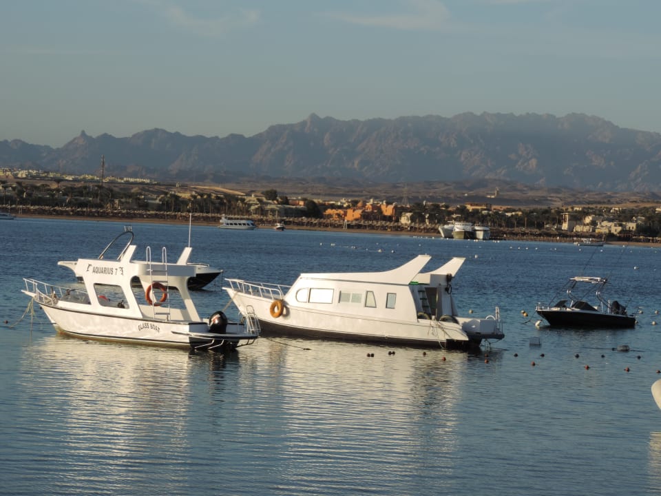 Ausblick Grand Waterworld Makadi & Family Star Makadi