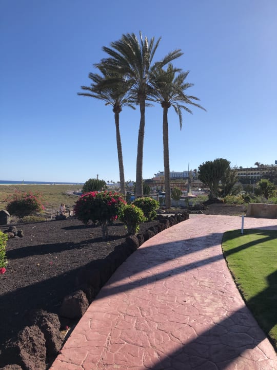 Garten Iberostar Waves Gaviotas Park