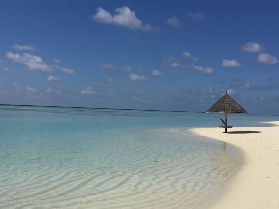 Wunderbar im LUX LUX South Ari Atoll