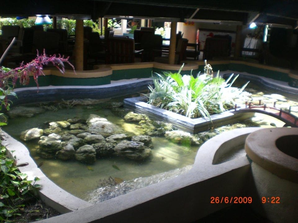 Inmitten der Bar Summer Island Maldives