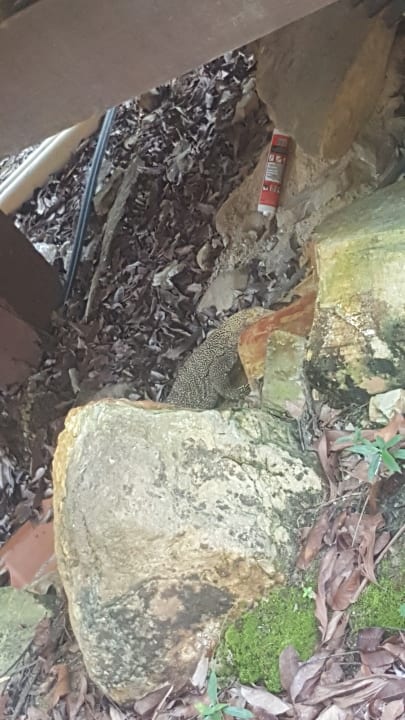 Sonstiges Berjaya Langkawi Resort