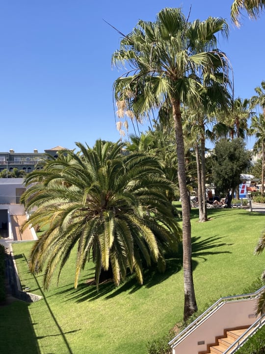 Gartenanlage Hotel Riu Gran Canaria