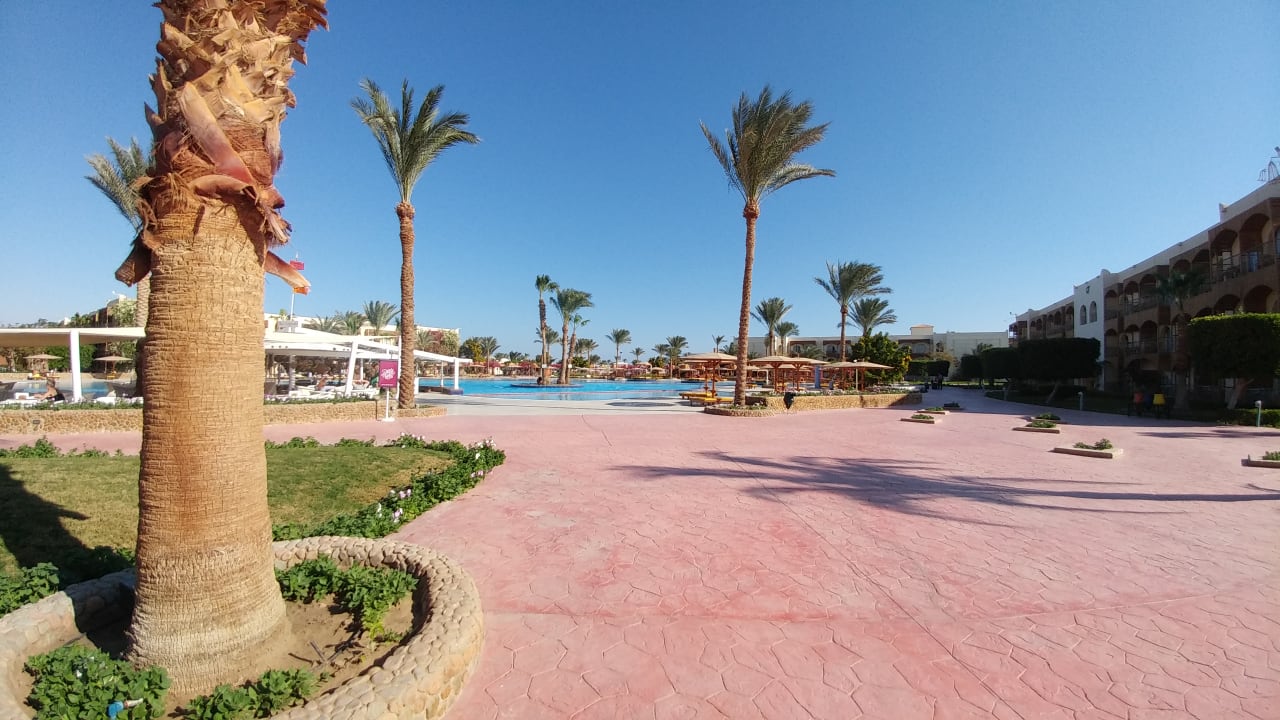 Gartenanlage Desert Rose