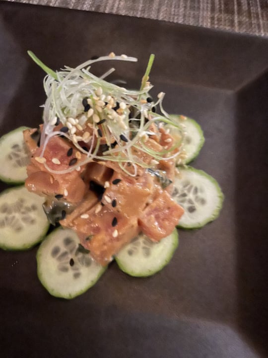 Gastro JAZ Elite Amara