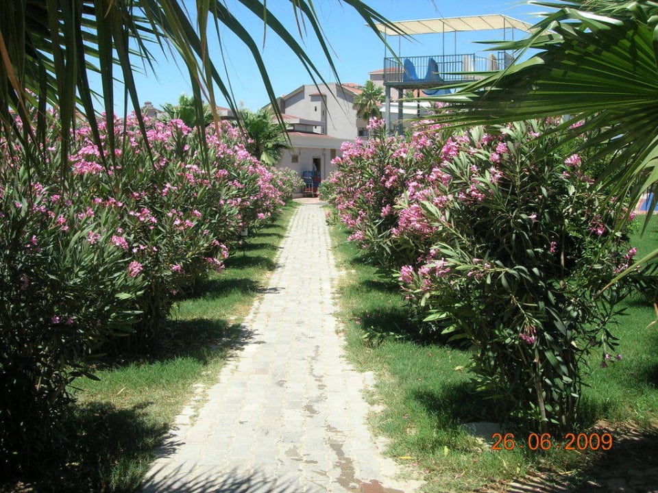 Anlage Hane Family Resort