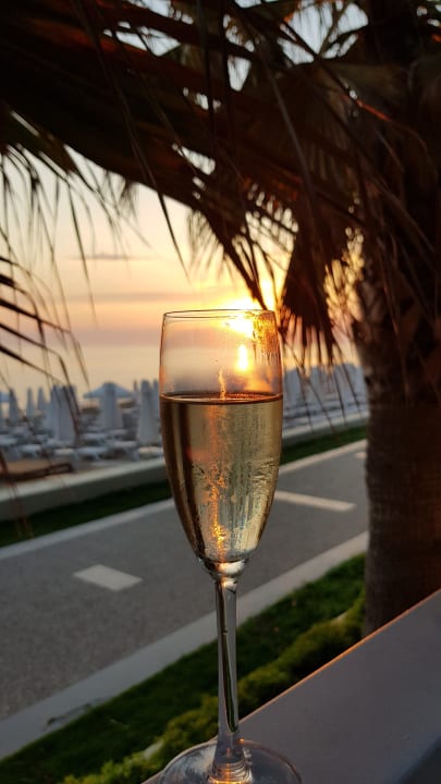 Rocka Restaurant Acanthus Cennet Barut Collection