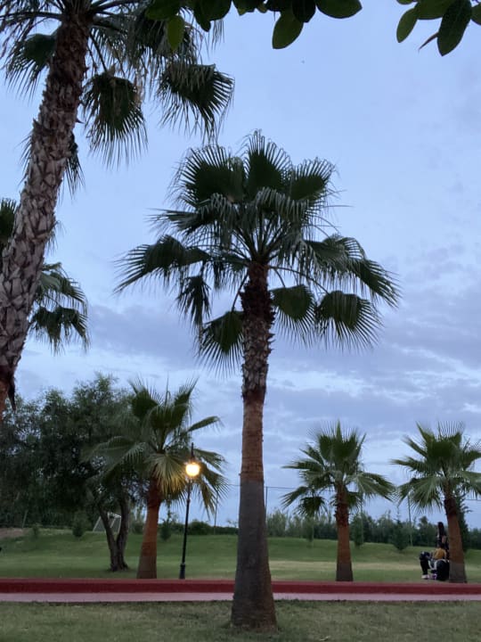 Gartenanlage Oz Hotels Incekum Beach