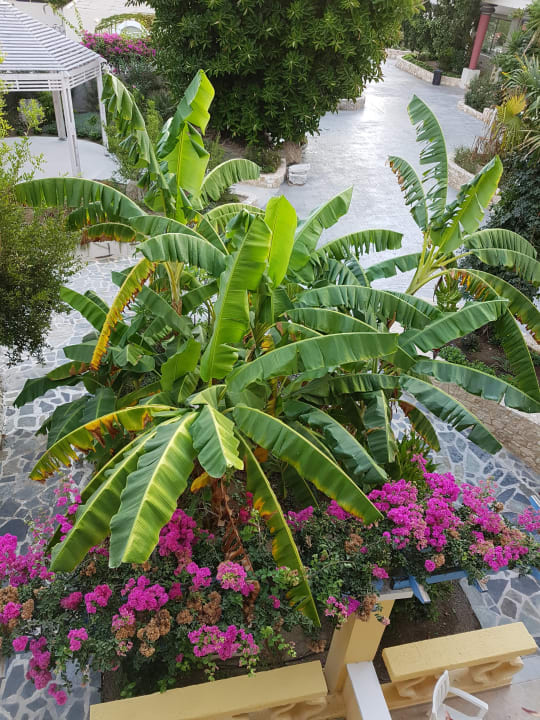 Sonstiges Apollon Hotel