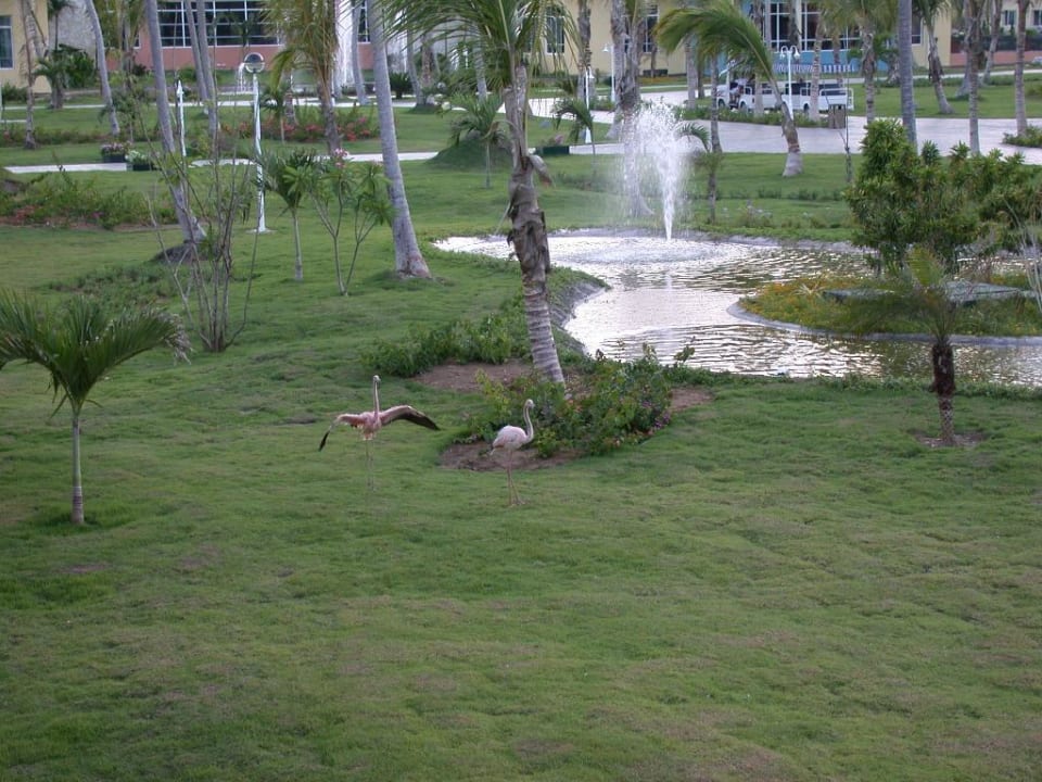 Parkanlage Ocean Blue & Sand