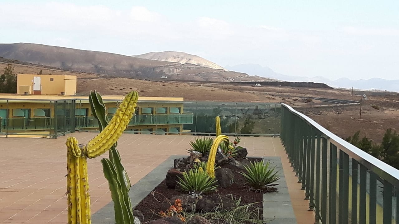 Terrasse hinter der Lobby  SBH Club Paraiso Playa