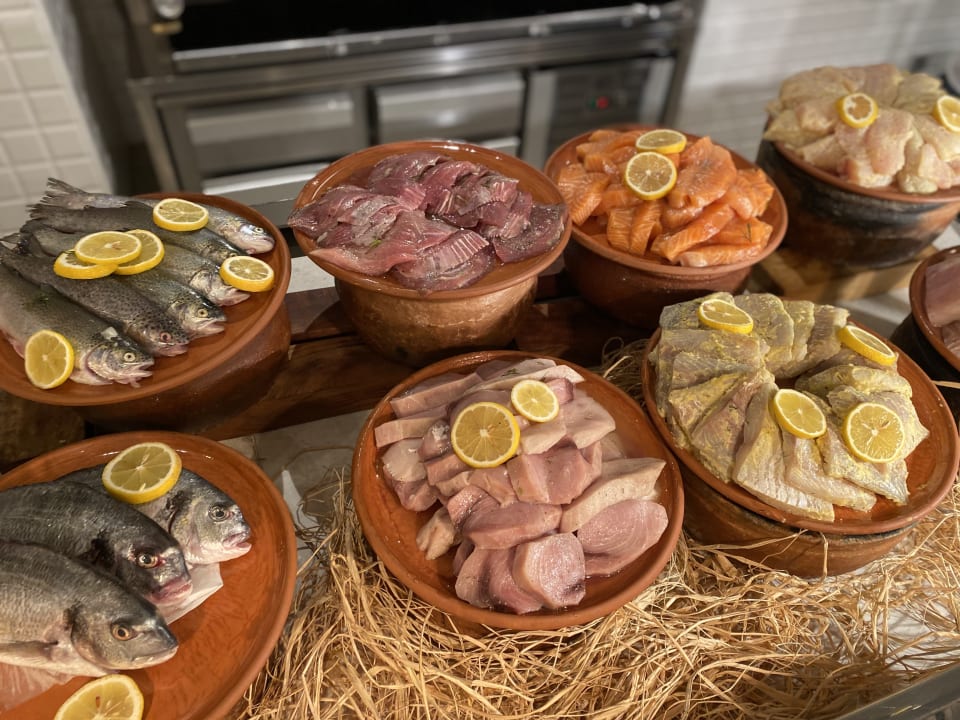 Gastro Acanthus Cennet Barut Collection