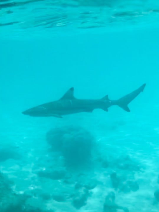 Sport & Freizeit Sun Siyam Olhuveli