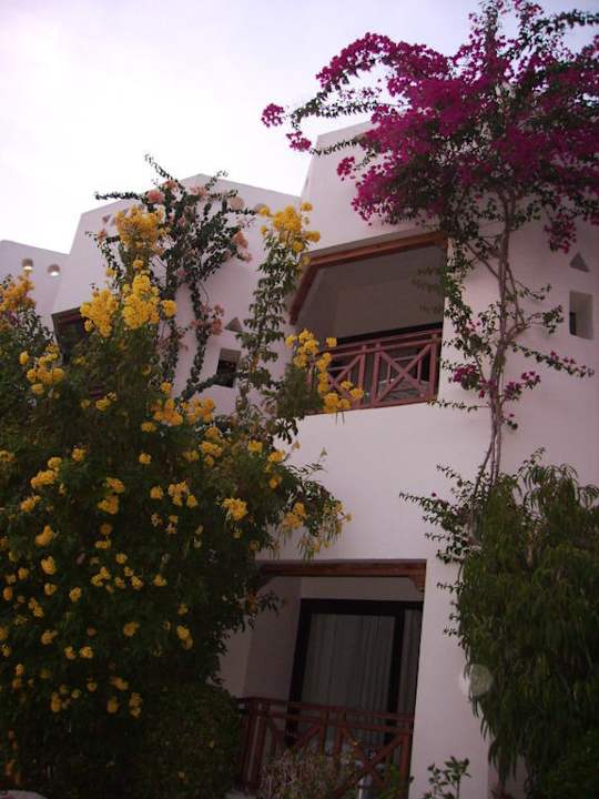 Blumenmeer Ghazala Gardens