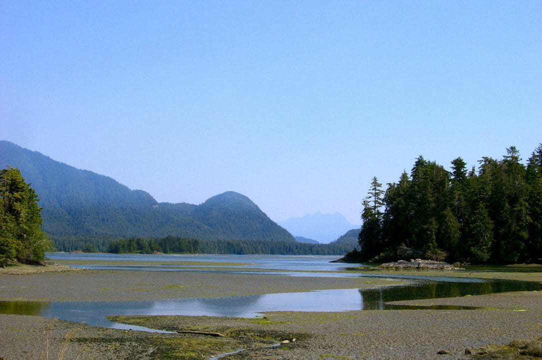 Clayoquot Sound Jamie's Rainforest Inn